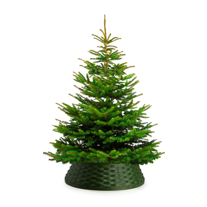 Large Tree Basket Collar - Bold Green