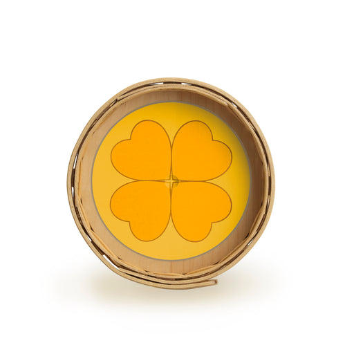 Inside View of St. Patrick's Day Gold Coin Basket
