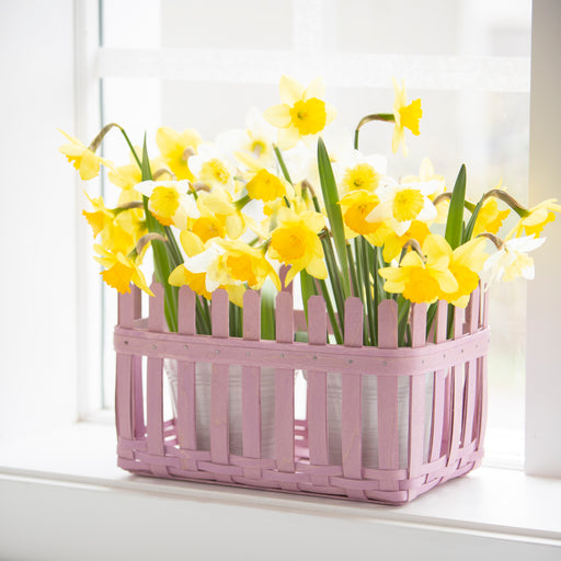 Norman Rockwell Picket Fence Basket Set with Protector - Soft Lavender holding daffodil flowers.