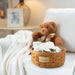 Celebrations Congratulations Basket with Protector - Warm Brown-Basket Set-Woven Maple Basket-Longaberger