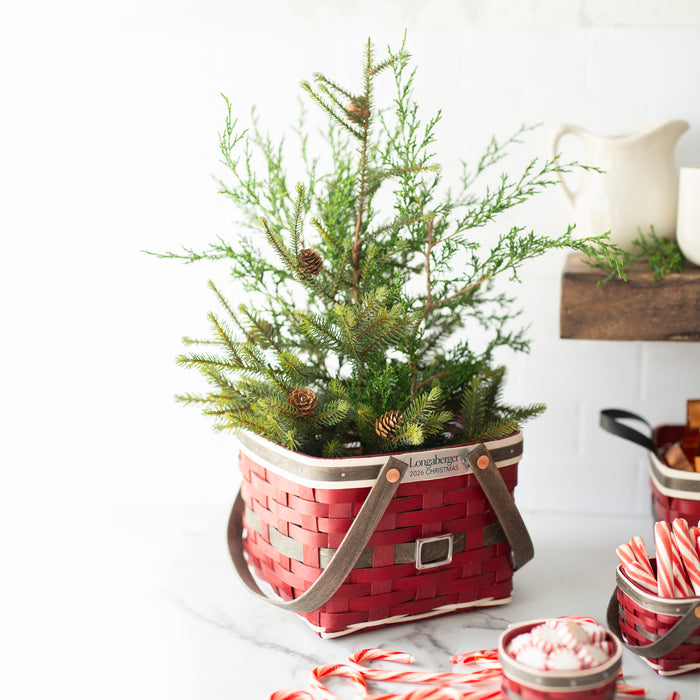 Collector's Santa Belly Provision Basket with Protector