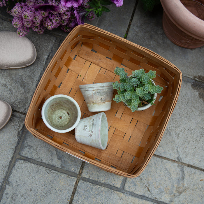 Collector's Essentials Medium Square Basket with Protector