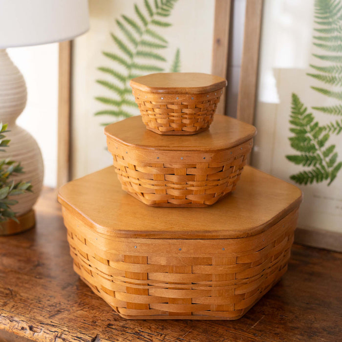 Generations 9-Piece Basket Set with Lids and Protectors - Warm Brown