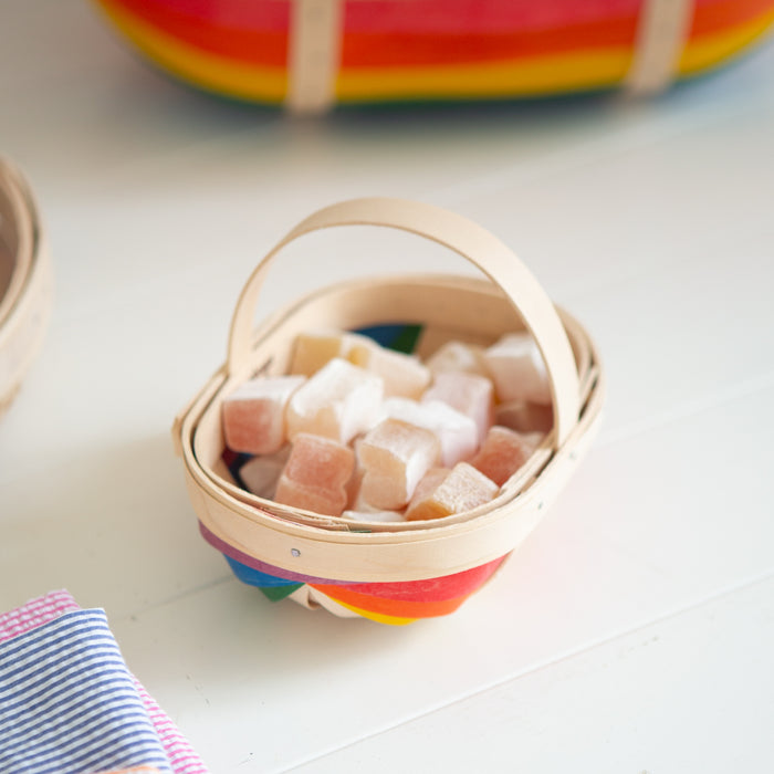 Rainbow Small Trug Basket with Protector - Multi