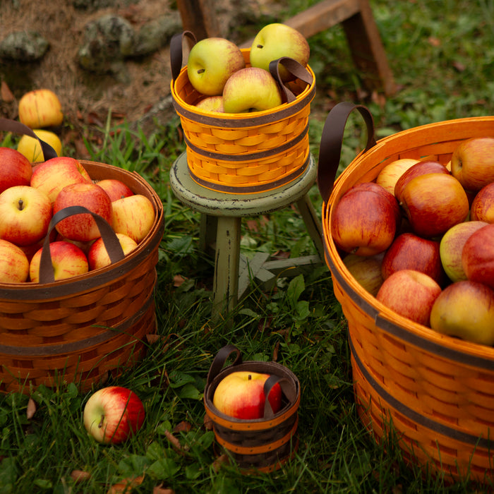 Harvest Small Bushel Basket with Protector - Toasted Marigold