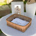 Card Basket Set with Protector - Light Brown holding cards