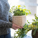 Small Round Nesting Storage Basket with Protector - Whitewashed-Basket Set-Woven Maple Basket-Longaberger