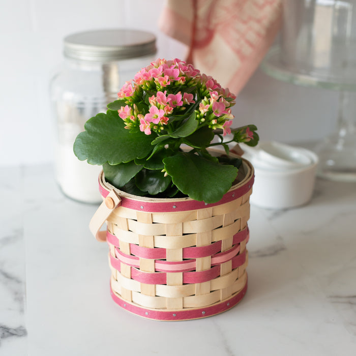 Spring Small Planter Basket with Protector - Raspberry