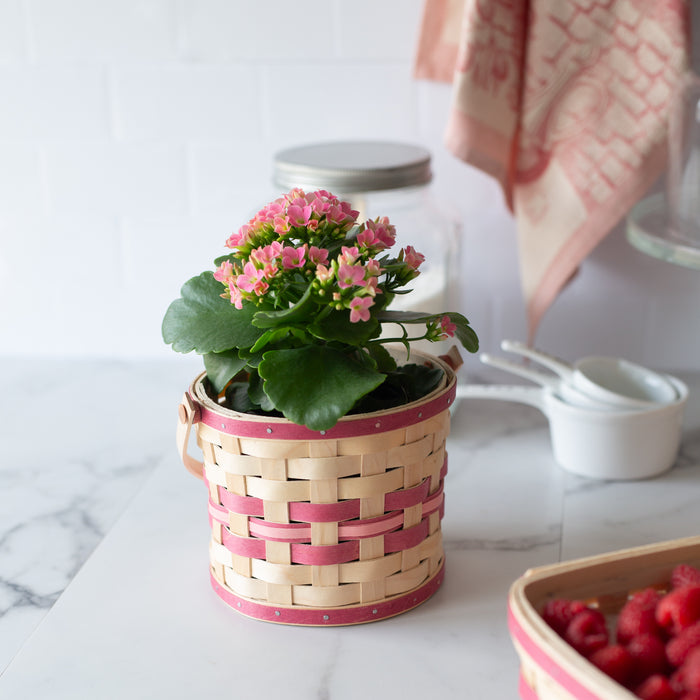 Spring Small Planter Basket with Protector - Raspberry