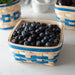 Spring Medium Berry Basket with Protector - Blueberry-Basket Set-Woven Maple Basket-Longaberger
