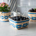 Spring Medium Berry Basket with Protector - Blueberry-Basket Set-Woven Maple Basket-Longaberger