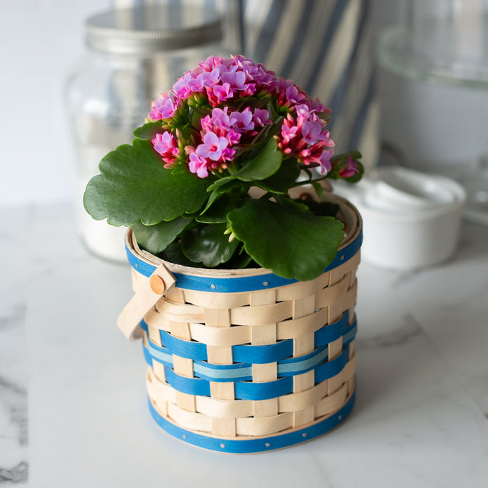Spring Small Planter Basket with Protector - Blueberry-Basket Set-Woven Maple Basket-Longaberger