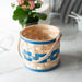 Spring Small Planter Basket with Protector - Blueberry-Basket Set-Woven Maple Basket-Longaberger