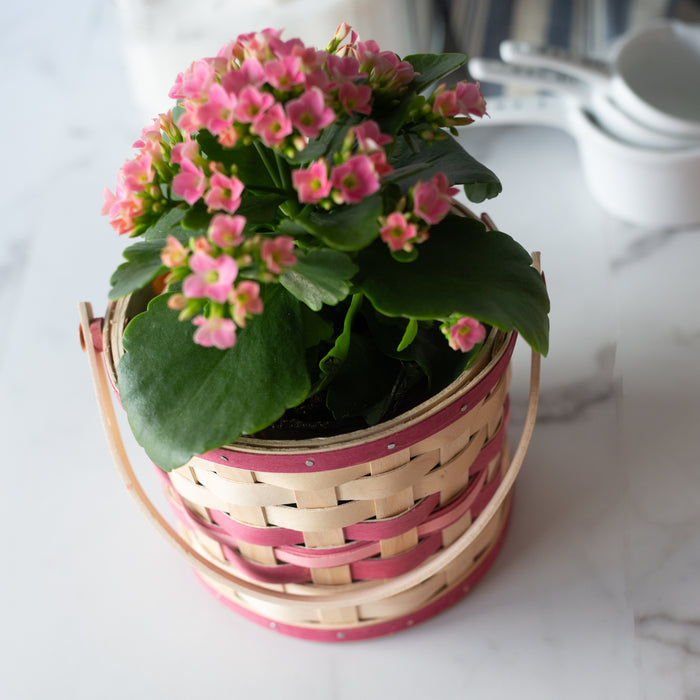 Spring Small Planter Basket with Protector - Raspberry-Basket Set-Woven Maple Basket-Longaberger