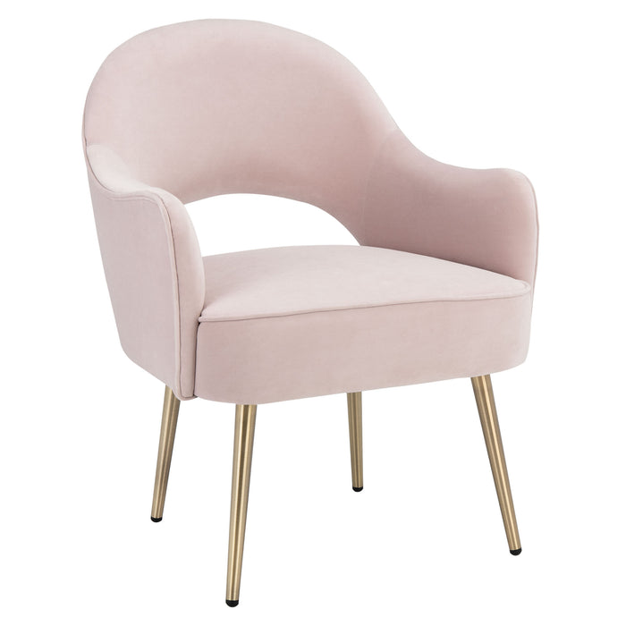 Light Pink Velvet and Gold Dublyn Accent Chair