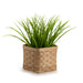 Front of Light Brown Square Organizing Basket with greenery.