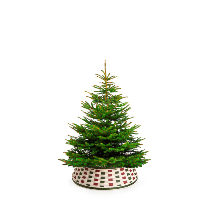 Small Tree Collar - Bold Red, Green and White