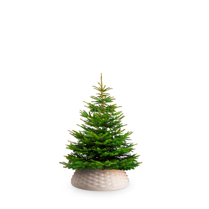 Small Tree Basket Collar - White